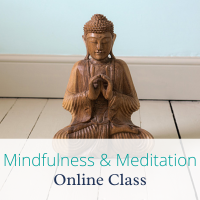 Online Mindfulness & Meditation Class