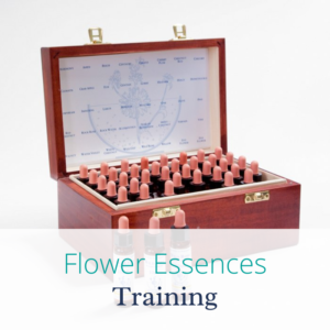 Flower essences training with Joanne Sumner Wellbeing