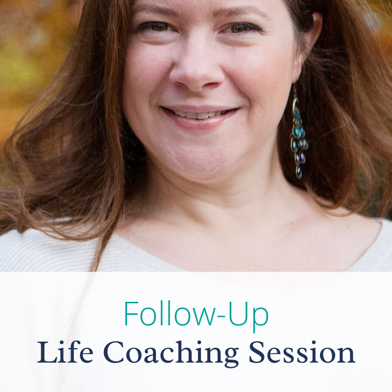 Follow-Up Life Coaching Session