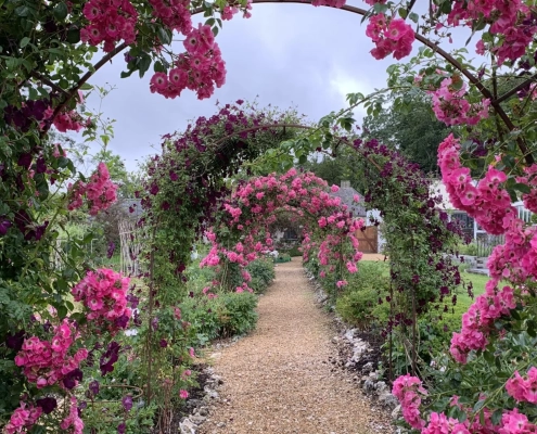 BLOOM Day Retreat – 19th July, 2024